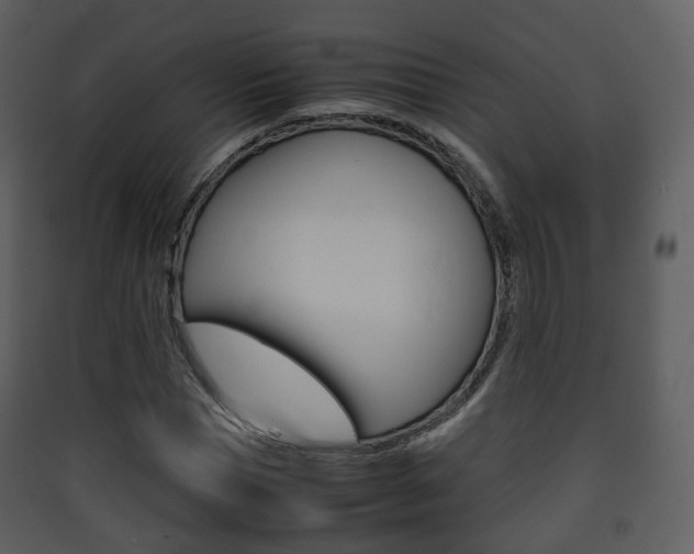 X0000090410921200707130922