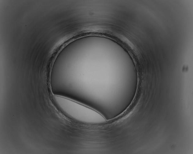 X0000090410922200707130922