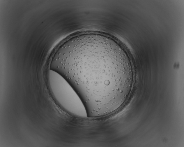 X0000090410925200707130922