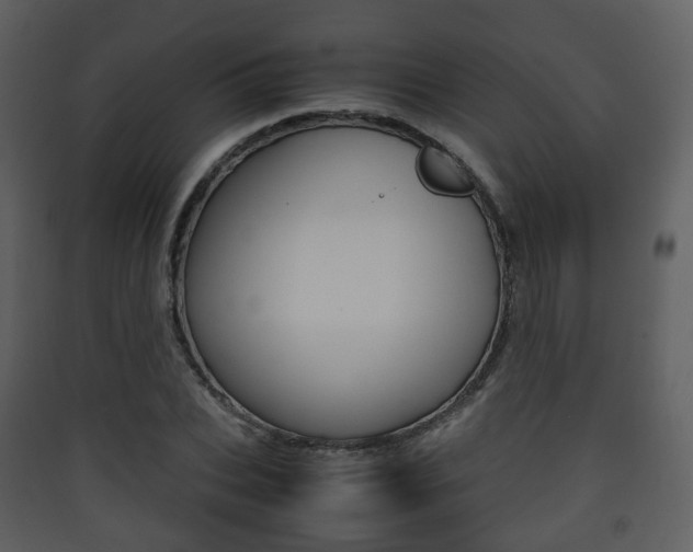X0000090410927200707130922