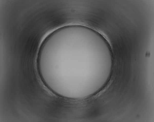 X0000090410928200707130922