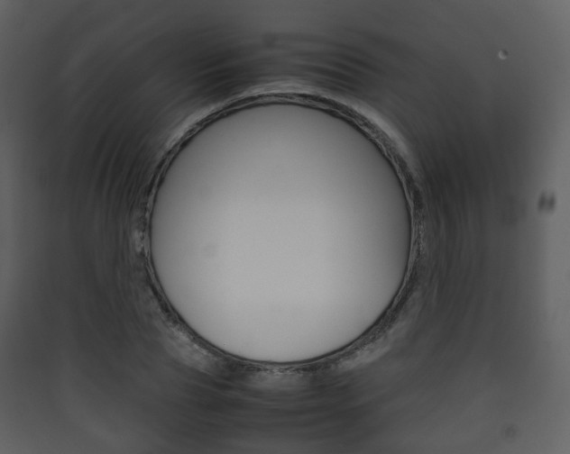X0000090410929200707130922