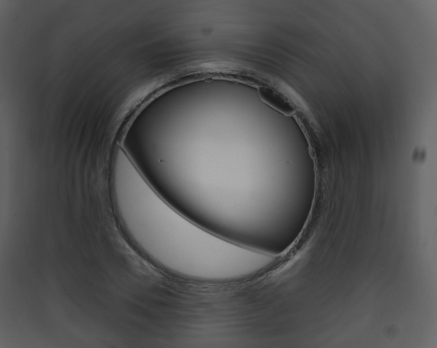 X0000090410930200707130922