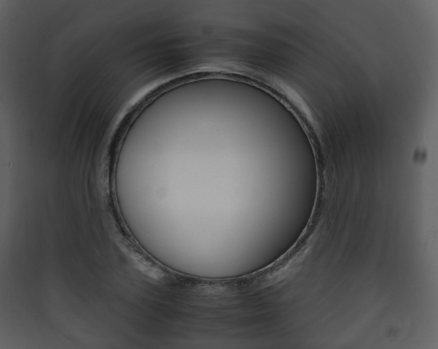 X0000090410931200707130922