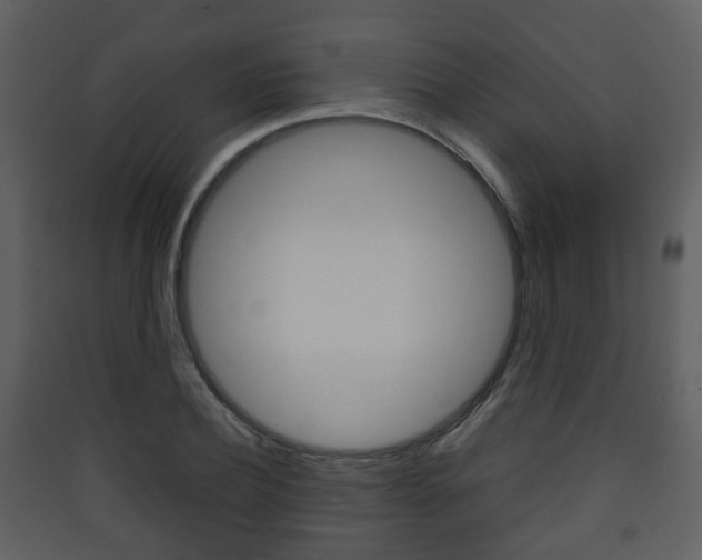 X0000090410932200707130922