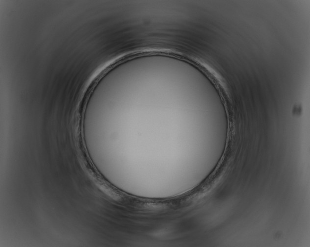 X0000090410933200707130922