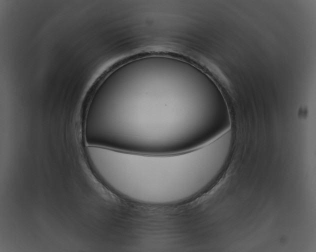 X0000090410934200707130922