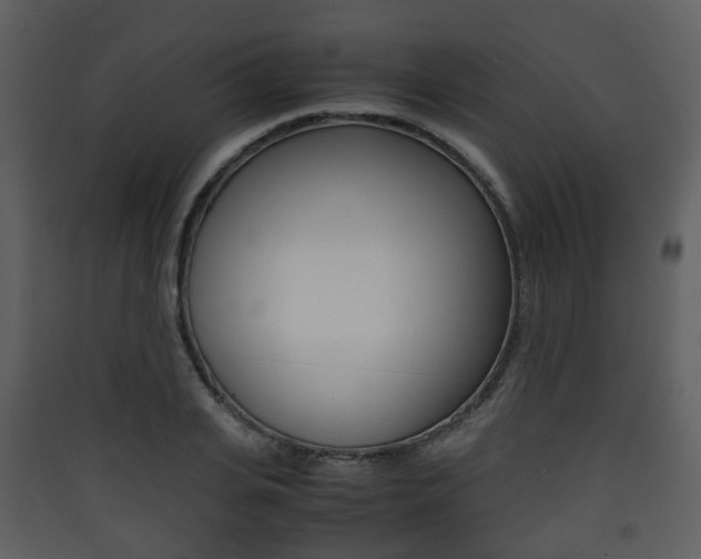 X0000090410935200707130922