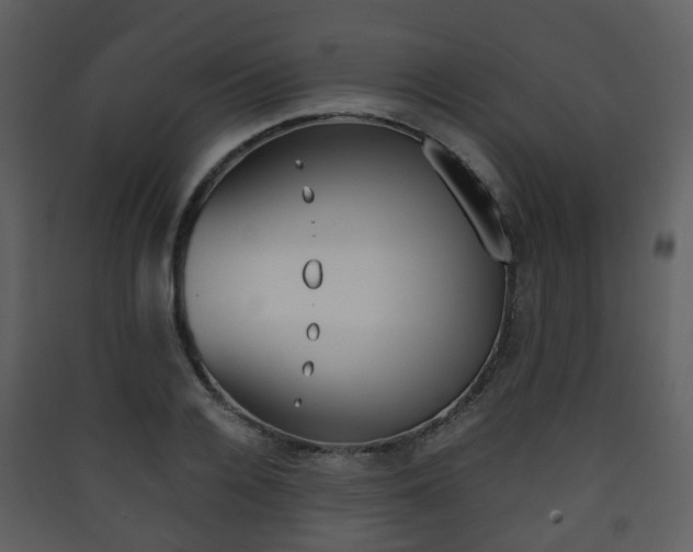 X0000090410936200707130922