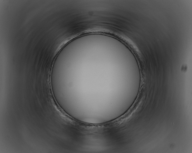 X0000090410937200707130922