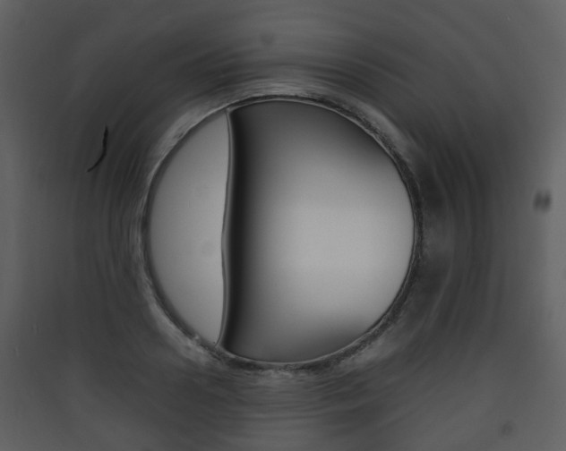 X0000090410938200707130922