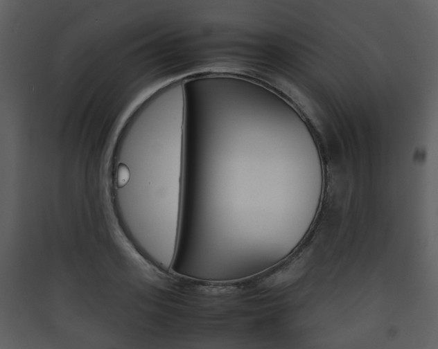 X0000090410939200707130922