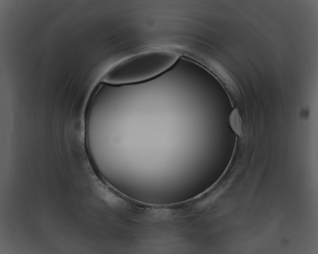 X0000090410940200707130922