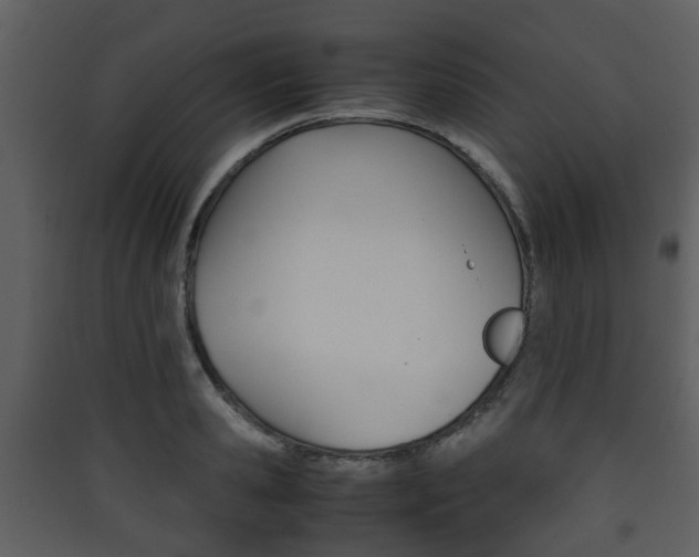 X0000090410941200707130922