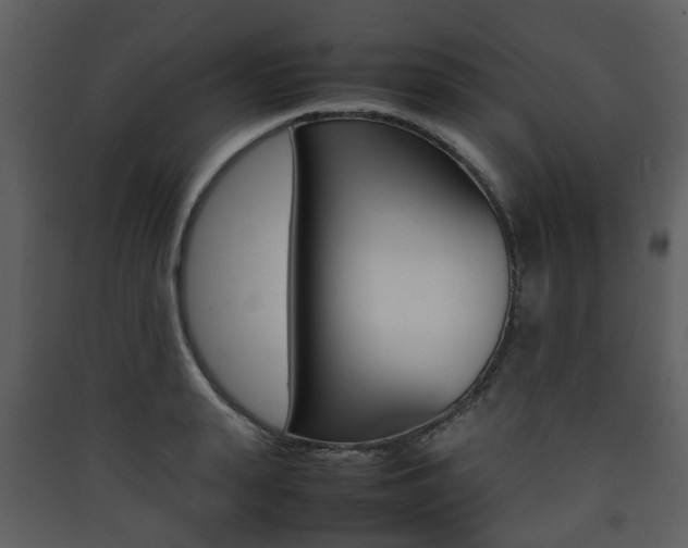 X0000090410943200707130922
