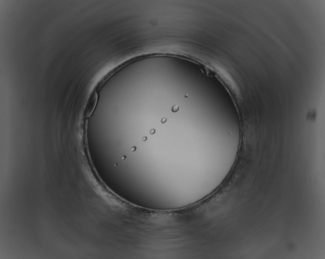 X0000090410944200707130922