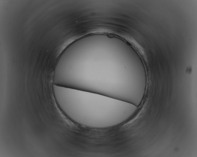 X0000090410945200707130922