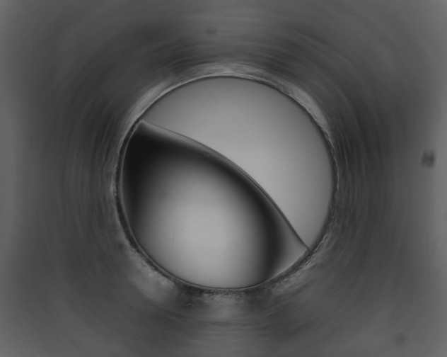 X0000090410946200707130922