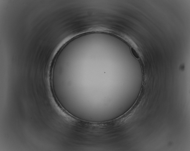 X0000090410947200707130922