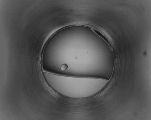 X0000090410948200707130922