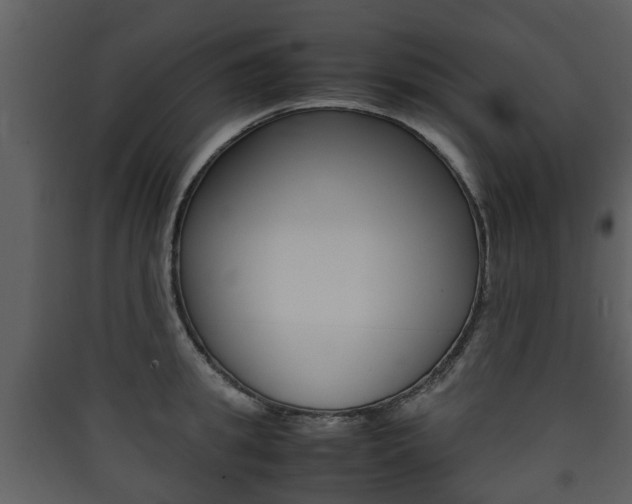 X0000090410949200707130922