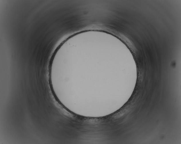 X0000090410950200707130922