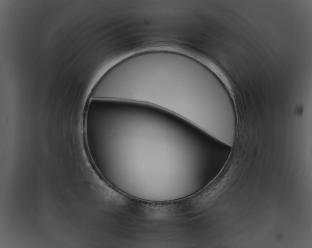 X0000090410951200707130922