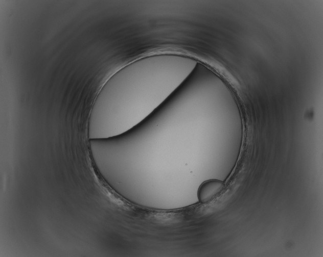 X0000090410953200707130922