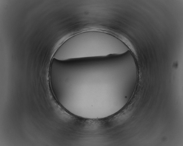 X0000090410954200707130922
