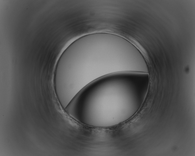 X0000090410956200707130922