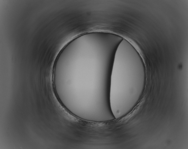X0000090410957200707130922
