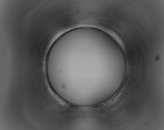 X0000090410958200707130922