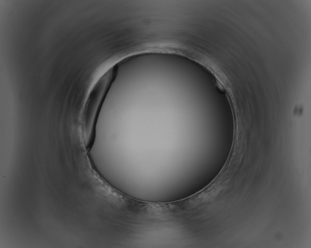 X0000090410960200707130922