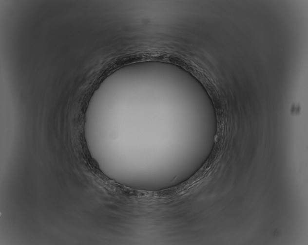 X0000090410961200707130922