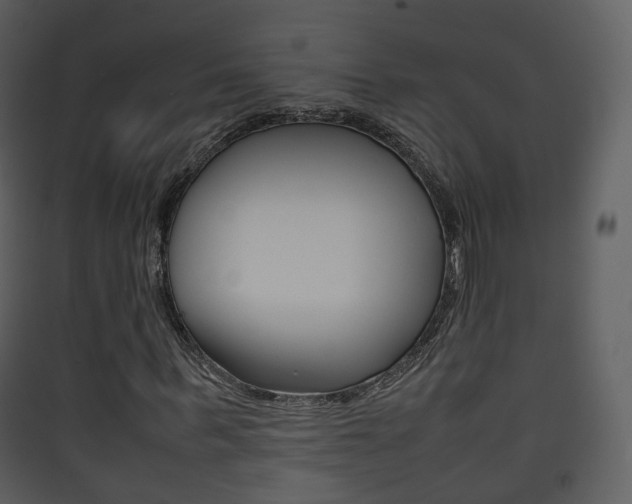X0000090410963200707130922