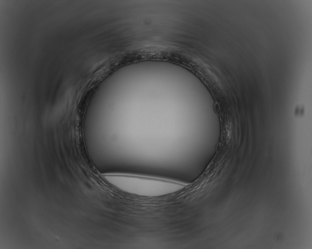 X0000090410964200707130922