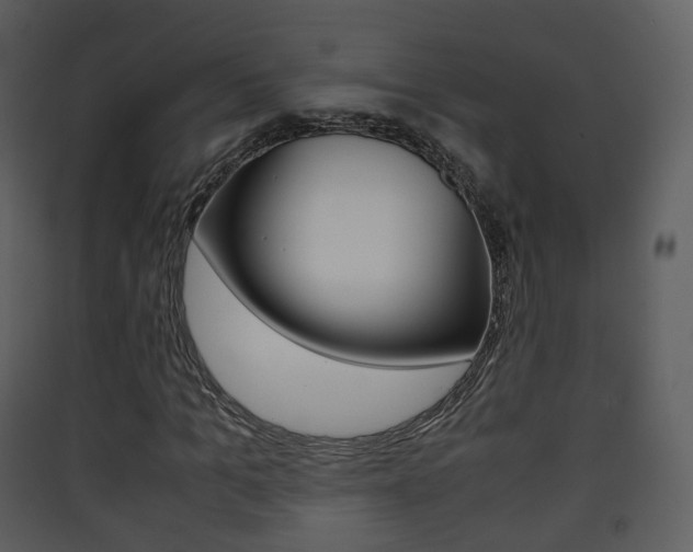 X0000090410965200707130922
