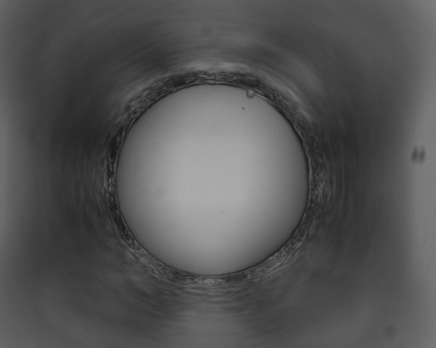 X0000090410966200707130921