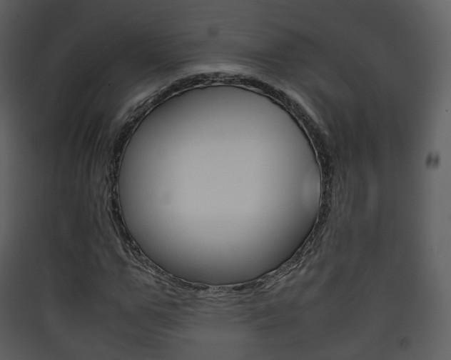 X0000090410967200707130921