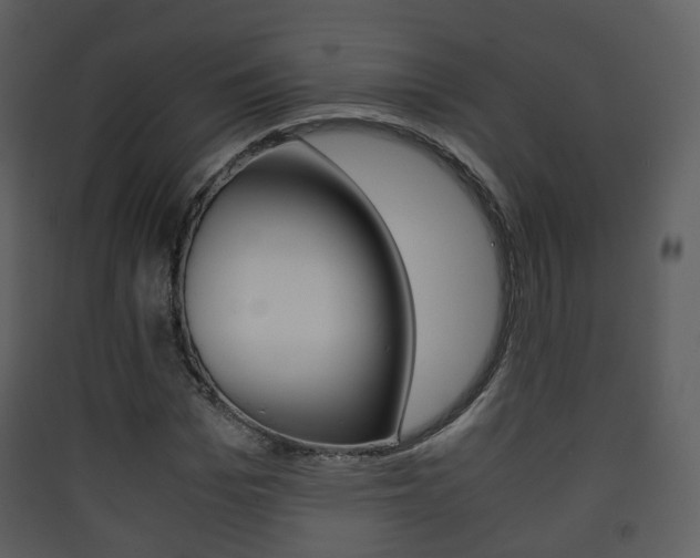 X0000090410969200707130921