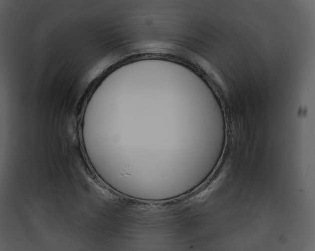 X0000090410970200707130921