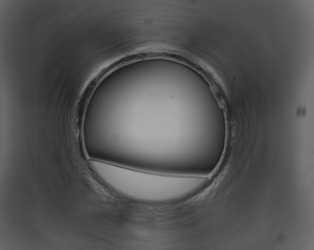 X0000090410973200707130921