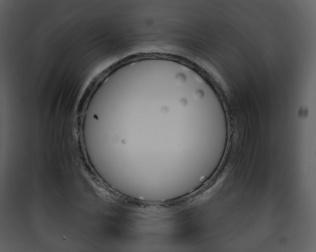 X0000090410974200707130921