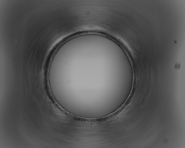 X0000090410975200707130921