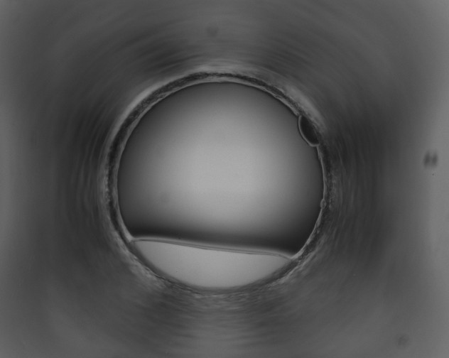X0000090410976200707130921