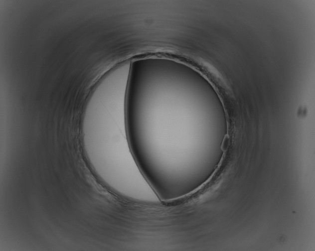 X0000090410977200707130921