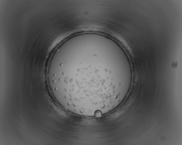 X0000090410978200707130921