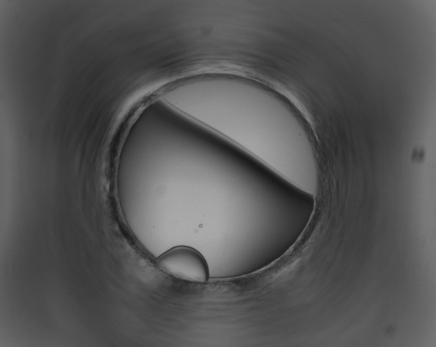 X0000090410979200707130921