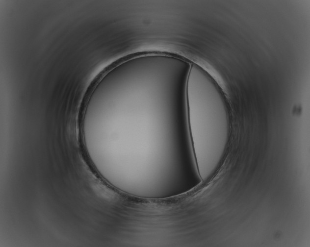 X0000090410980200707130921