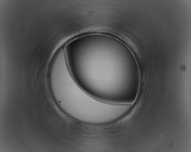 X0000090410981200707130921